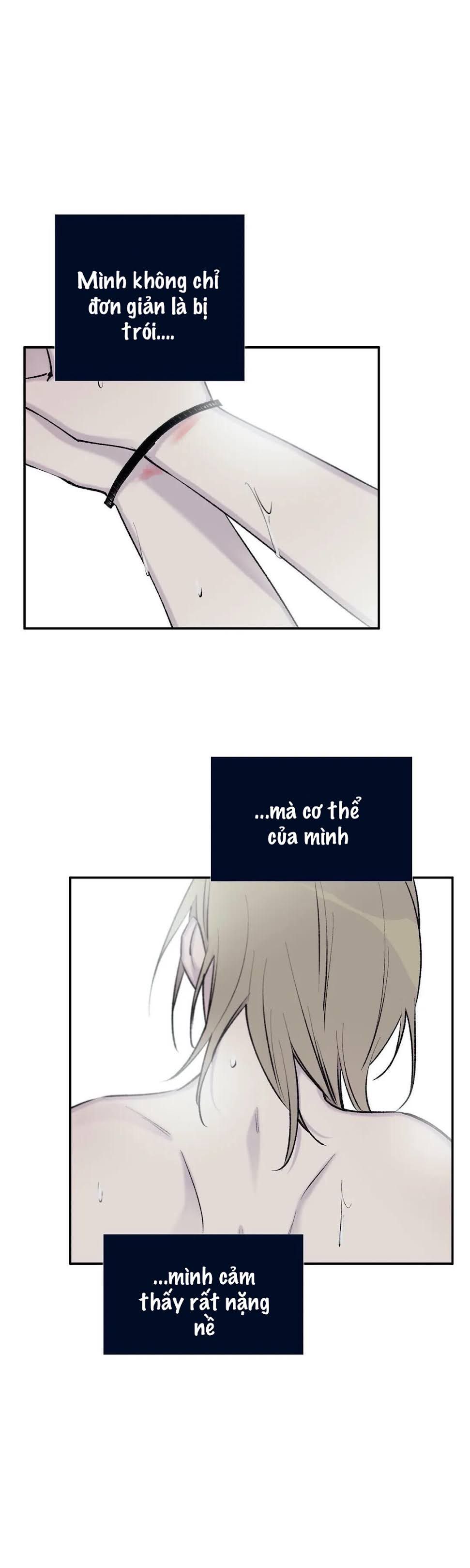 đọc truyện Đừng Viết Nữa,tác Giả Thân Mến! Chương 49 ảnh 21 tại Thiên Thai Truyện