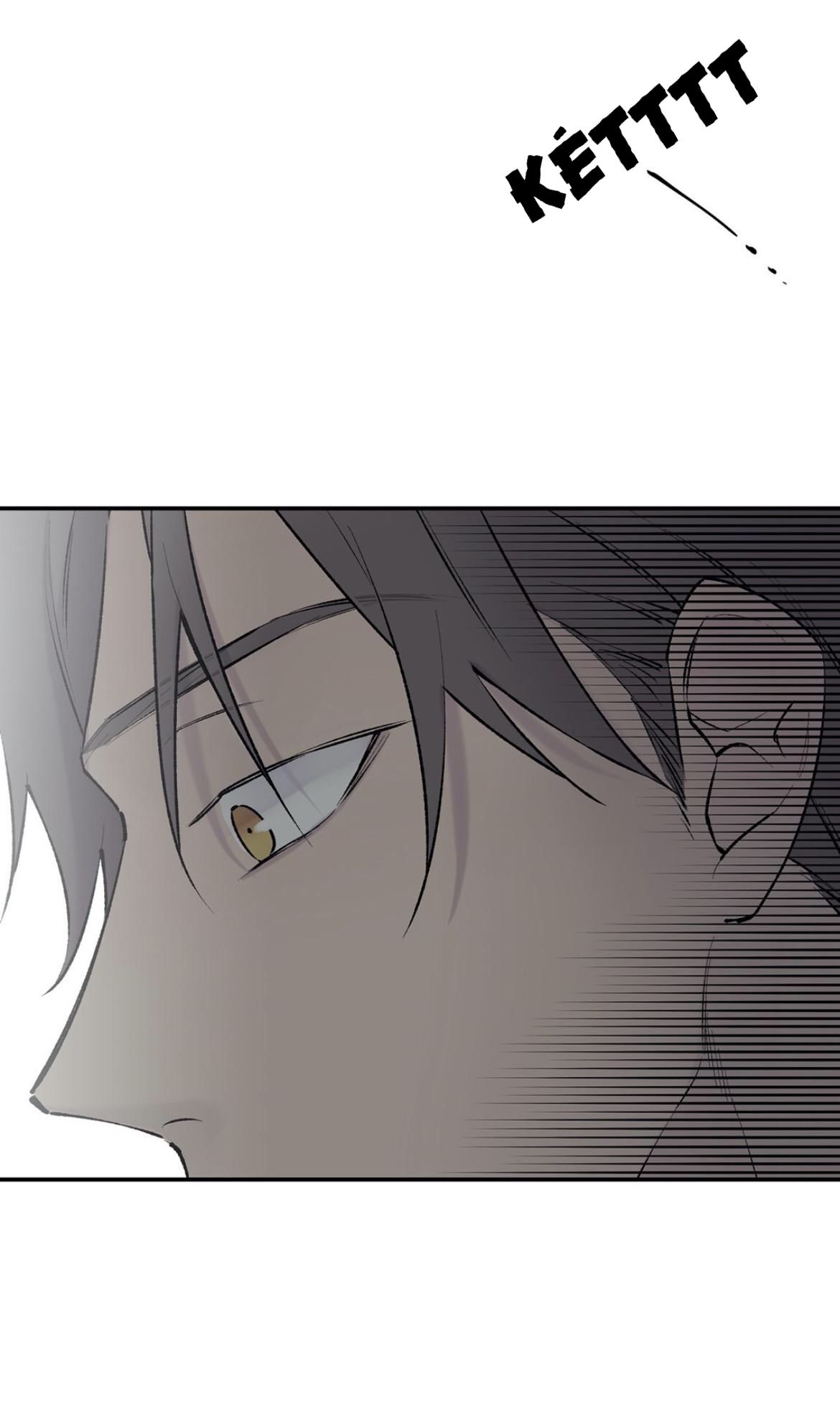 đọc truyện Đừng Viết Nữa,tác Giả Thân Mến! Chương 51 ảnh 19 tại Thiên Thai Truyện