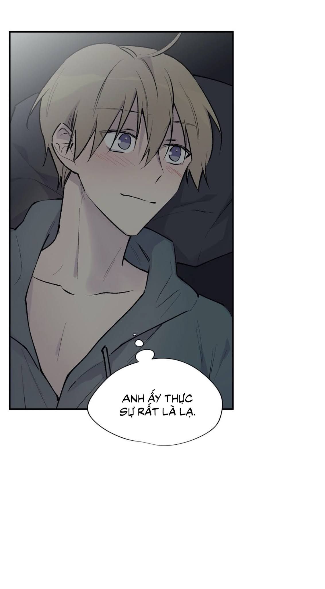 đọc truyện Đừng Viết Nữa,tác Giả Thân Mến! Chương 52 ảnh 36 tại Thiên Thai Truyện