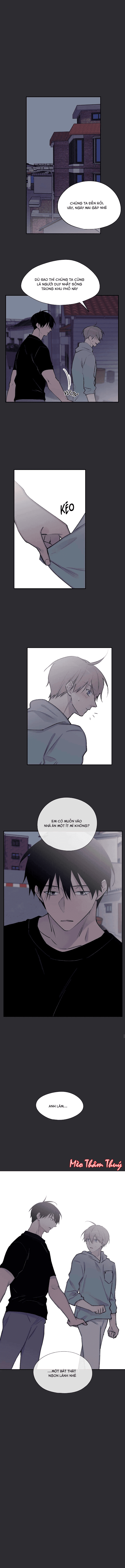 đọc truyện Đừng Viết Nữa,tác Giả Thân Mến! Chương 58 ảnh 5 tại Thiên Thai Truyện