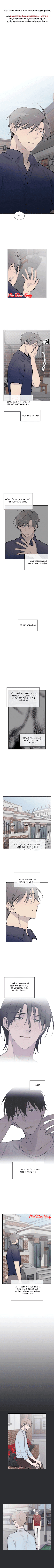 đọc truyện Đừng Viết Nữa,tác Giả Thân Mến! Chương 59 ảnh 3 tại Thiên Thai Truyện