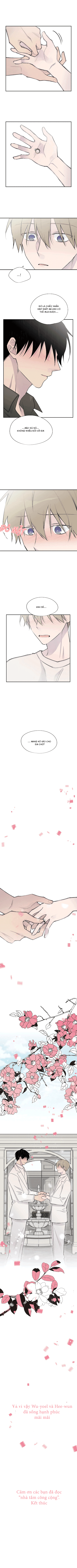 đọc truyện Đừng Viết Nữa,tác Giả Thân Mến! Chương 59 ảnh 7 tại Thiên Thai Truyện