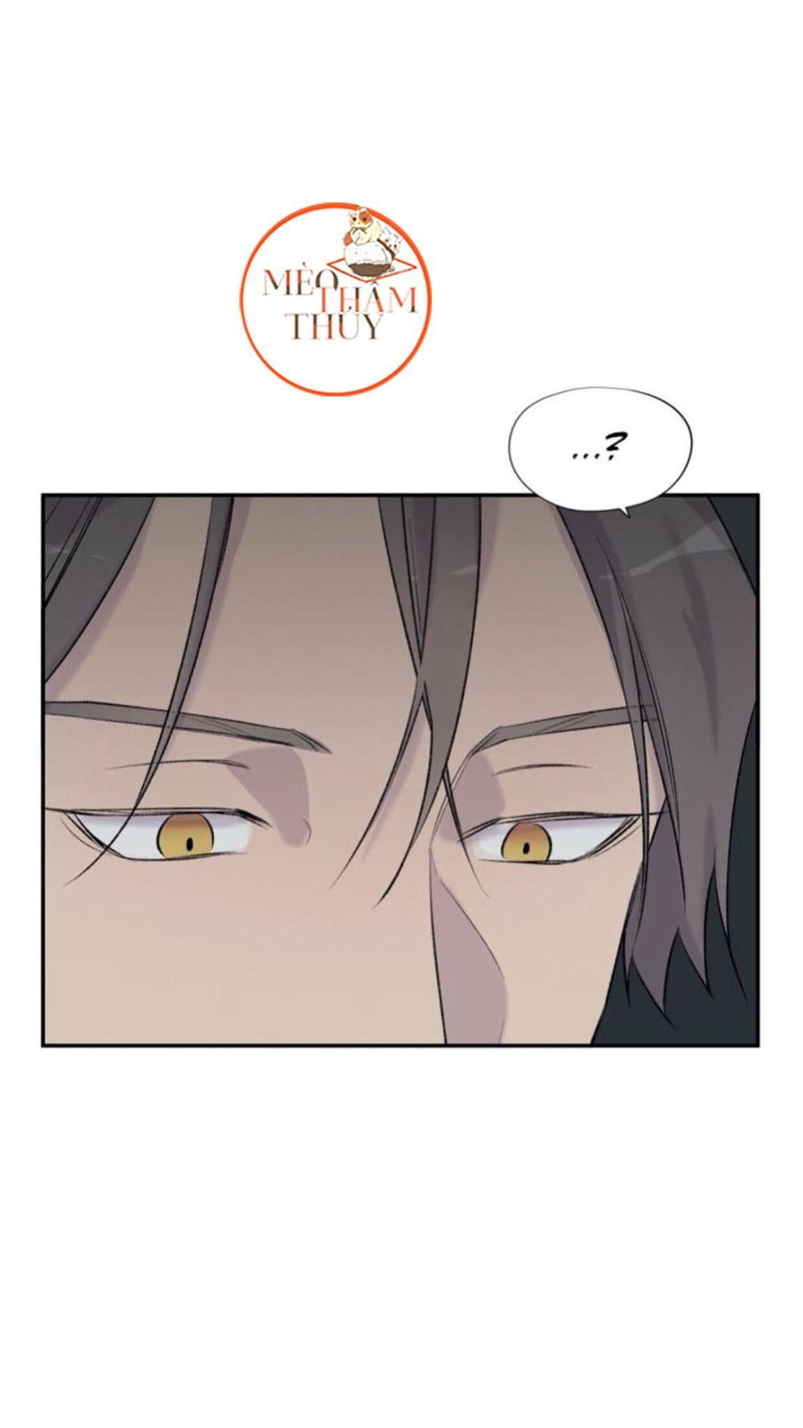 đọc truyện Đừng Viết Nữa,tác Giả Thân Mến! Chương 7 ảnh 44 tại Thiên Thai Truyện