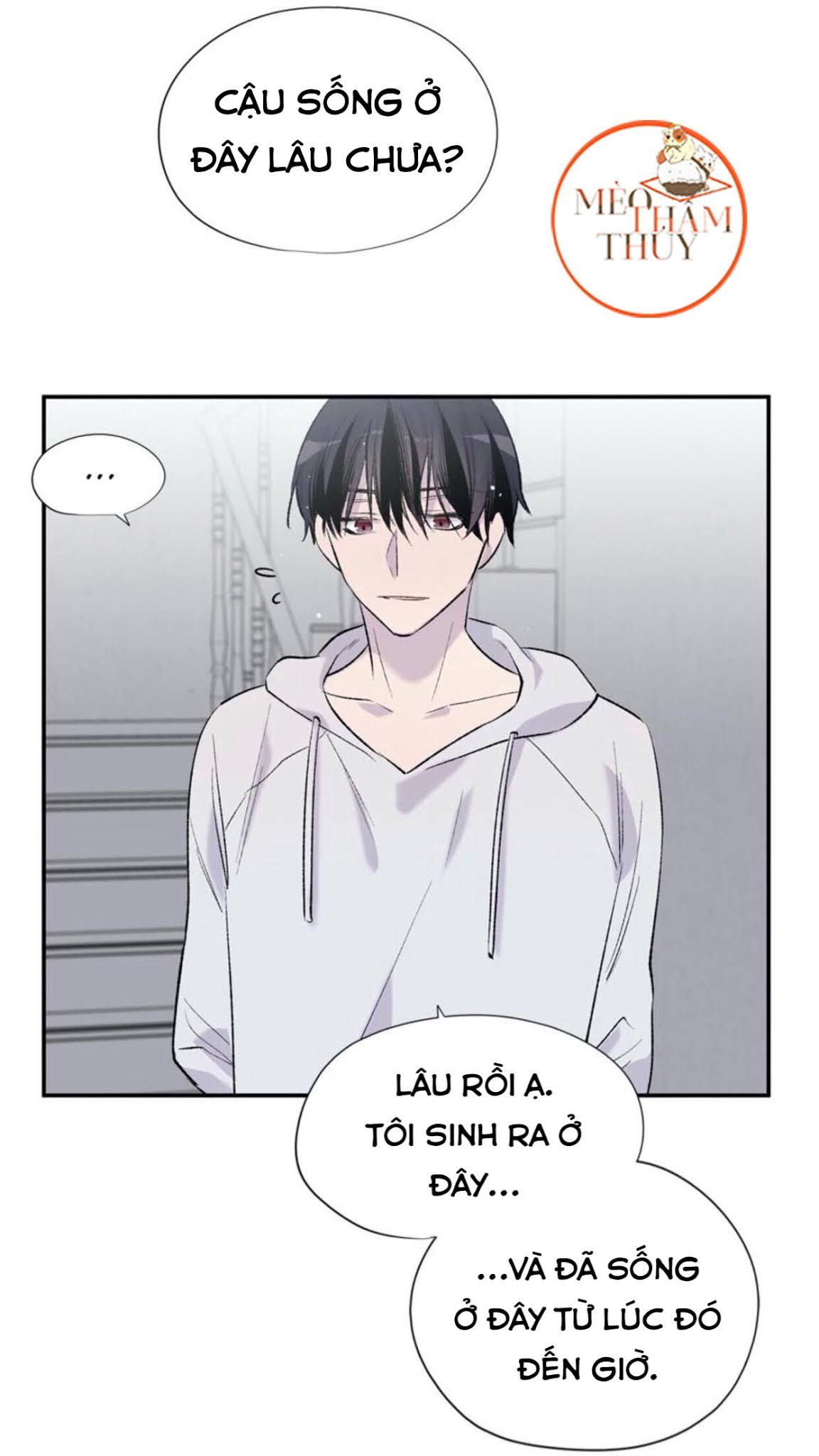 đọc truyện Đừng Viết Nữa,tác Giả Thân Mến! Chương 7 ảnh 45 tại Thiên Thai Truyện