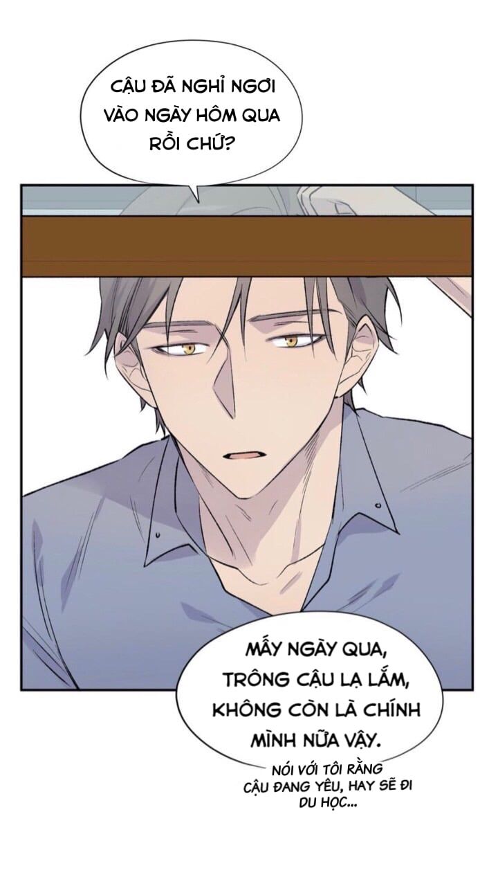 đọc truyện Đừng Viết Nữa,tác Giả Thân Mến! Chương 9 ảnh 15 tại Thiên Thai Truyện