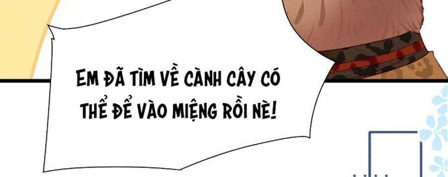đọc truyện Được Chồng Rắn Siêu Sủng Khi Xuyên Qua Thú Thế Chương 9 ảnh 19 tại Truyện Dạ Ký