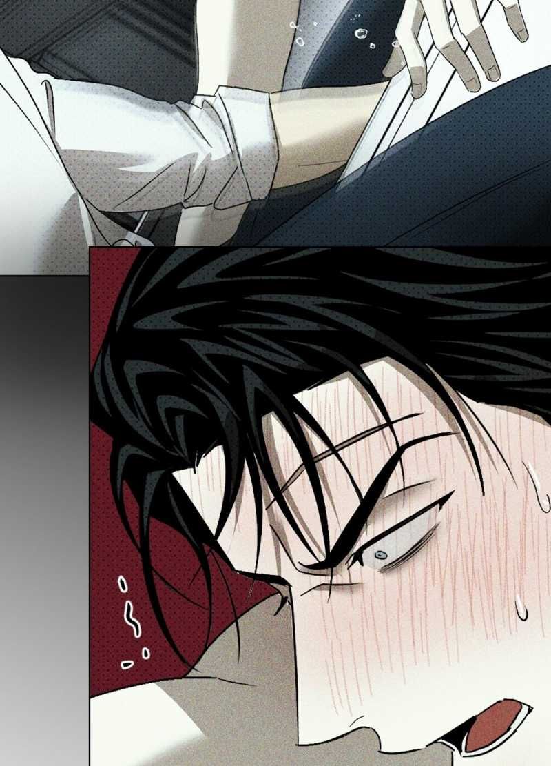 đọc truyện Dưới Ánh Đèn Xanh Chương 56.2 ảnh 13 tại Thiên Thai Truyện