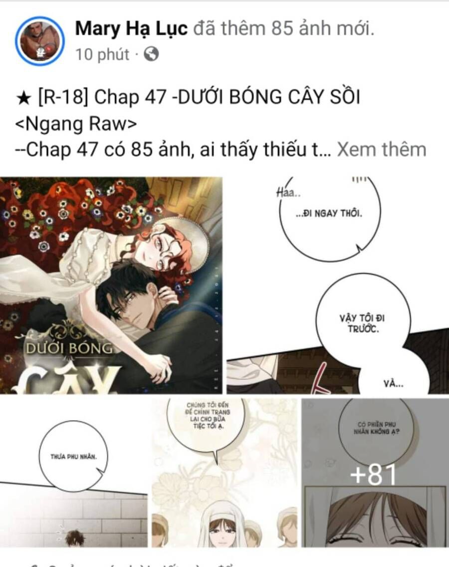 đọc truyện Dưới Bóng Cây Sồi Chương 47.2 ảnh 2 tại Thiên Thai Truyện