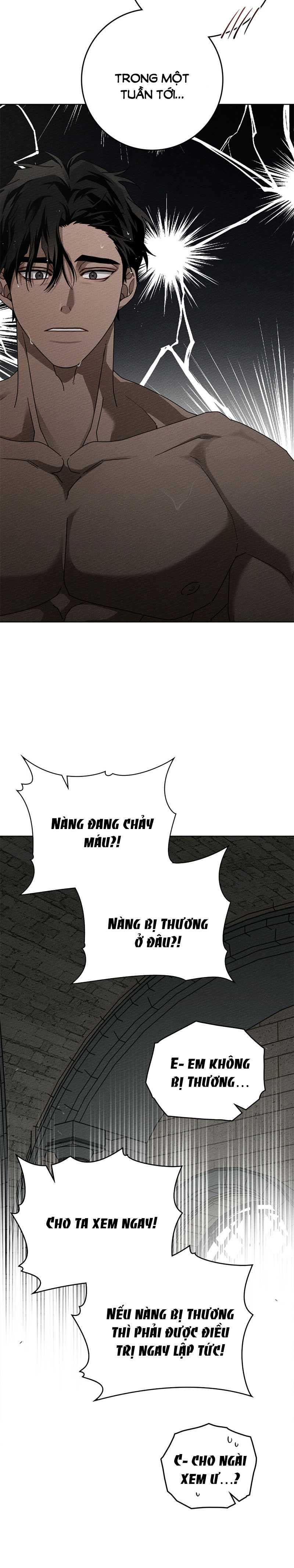 đọc truyện Dưới Bóng Cây Sồi Chương 88.1 ảnh 10 tại Thiên Thai Truyện