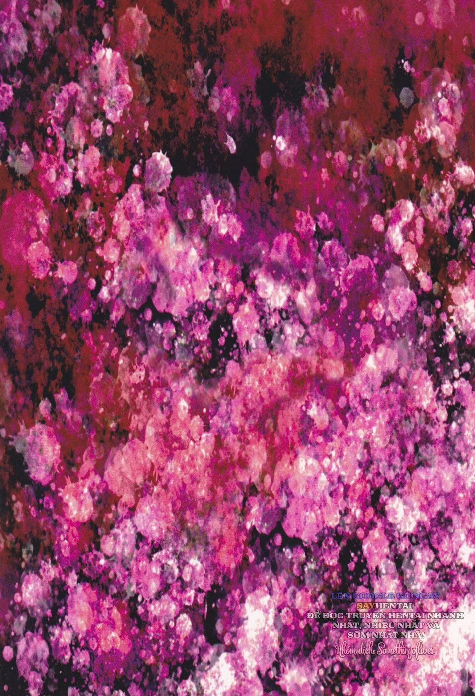 đọc truyện Dưới Sự Dẫn Lối Của Vầng Trăng Đen Huyền Bí Chương 2 ảnh 19 tại Thiên Thai Truyện