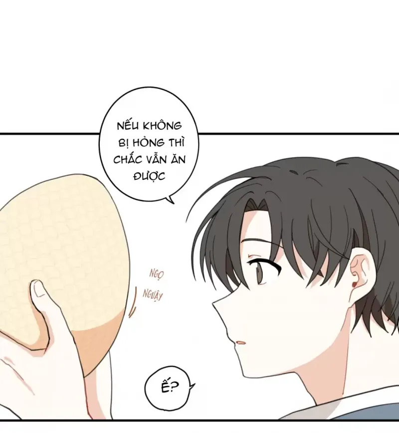 đọc truyện Dưới Tán Hoa Liên Kiều Chương 1.5 ảnh 12 tại Thiên Thai Truyện