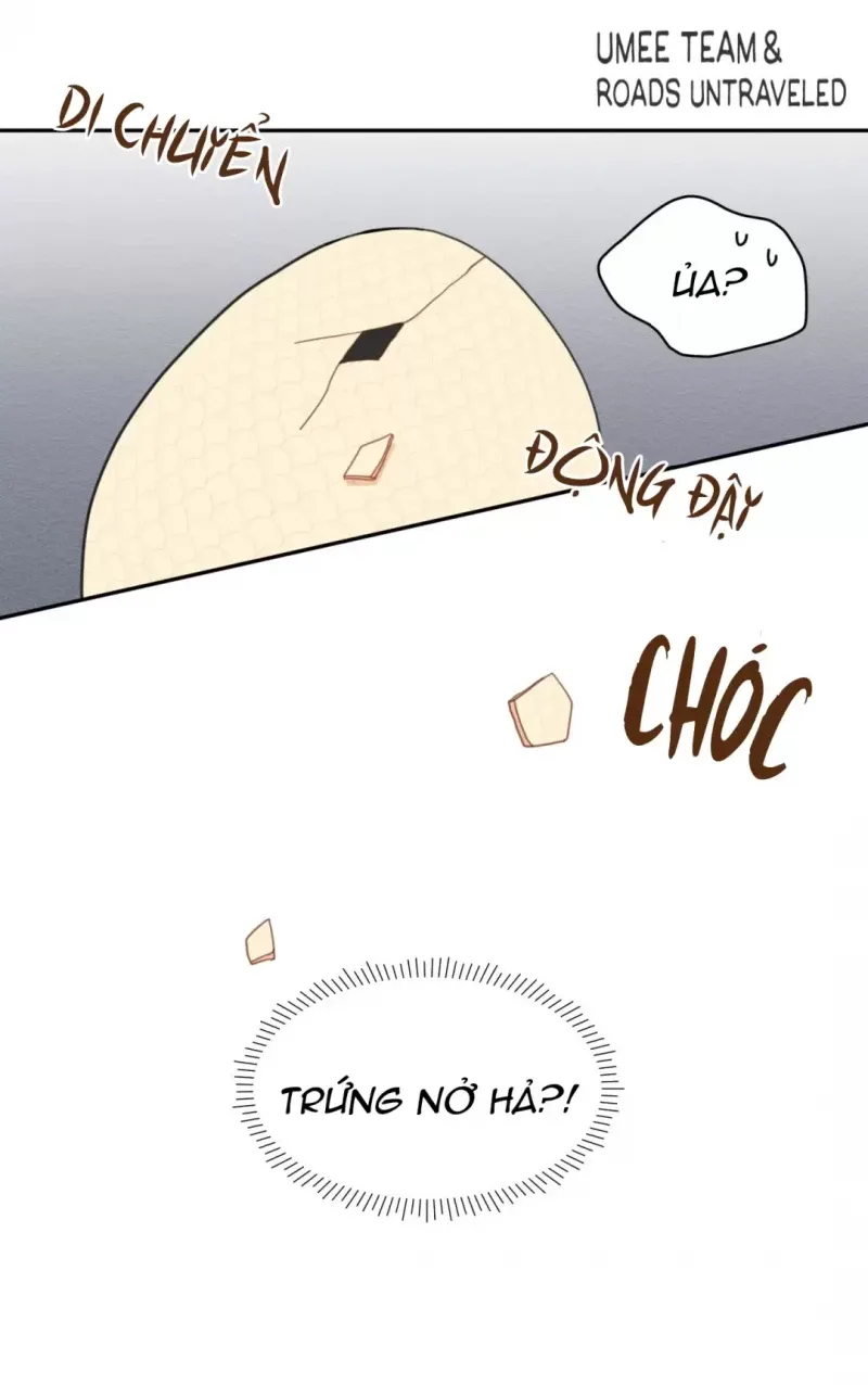 đọc truyện Dưới Tán Hoa Liên Kiều Chương 1.5 ảnh 14 tại Thiên Thai Truyện