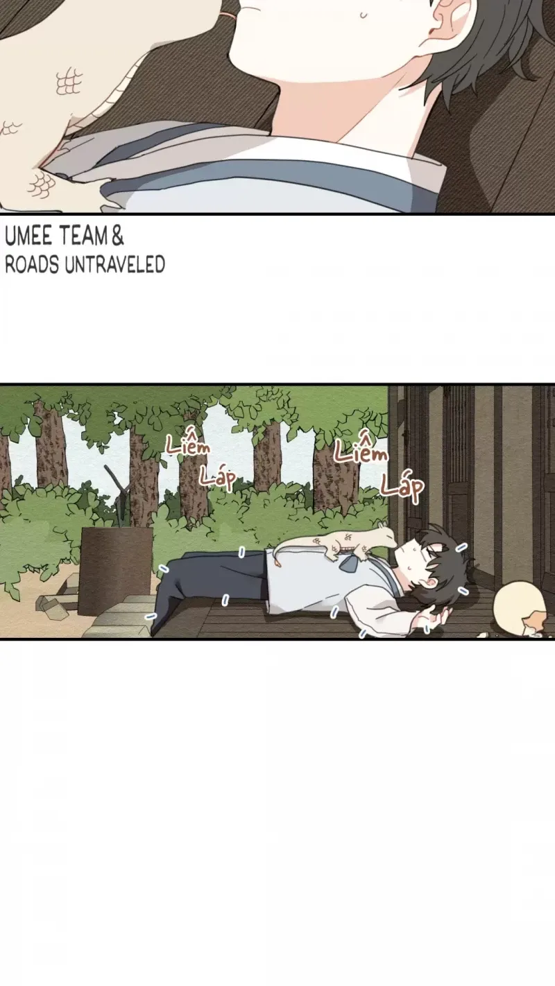 đọc truyện Dưới Tán Hoa Liên Kiều Chương 1.5 ảnh 21 tại Thiên Thai Truyện