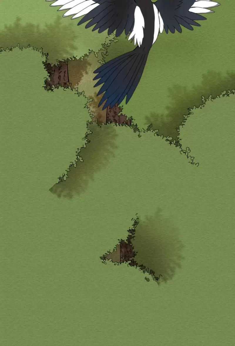 đọc truyện Dưới Tán Hoa Liên Kiều Chương 1.5 ảnh 9 tại Thiên Thai Truyện