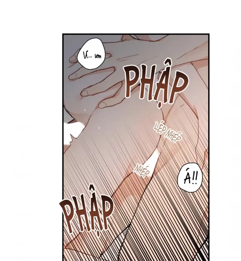 đọc truyện Dưới Tán Hoa Liên Kiều Chương 1 ảnh 4 tại Thiên Thai Truyện