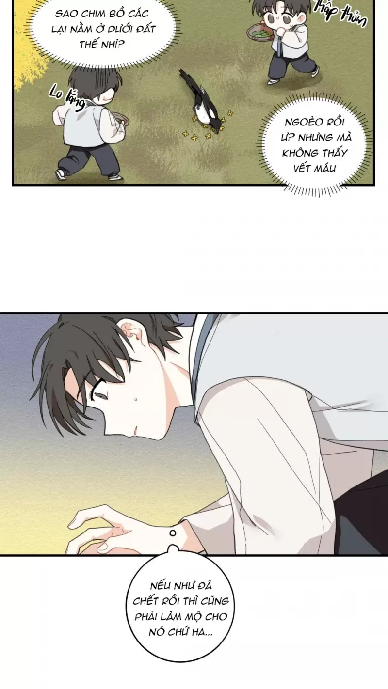 đọc truyện Dưới Tán Hoa Liên Kiều Chương 1 ảnh 25 tại Thiên Thai Truyện