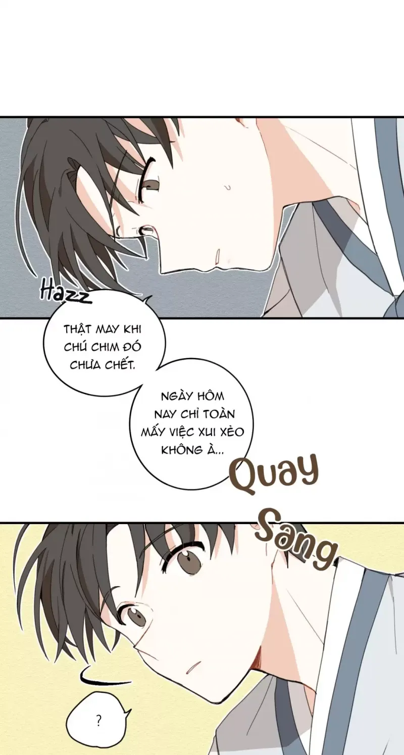 đọc truyện Dưới Tán Hoa Liên Kiều Chương 1 ảnh 28 tại Thiên Thai Truyện