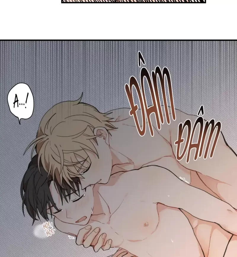 đọc truyện Dưới Tán Hoa Liên Kiều Chương 1 ảnh 5 tại Thiên Thai Truyện