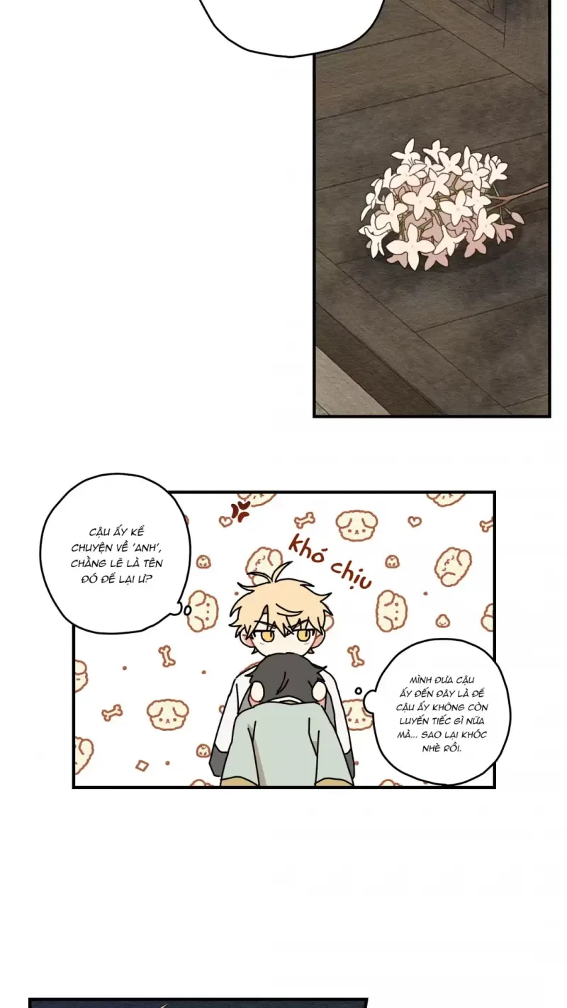 đọc truyện Dưới Tán Hoa Liên Kiều Chương 10.5 ảnh 28 tại Thiên Thai Truyện