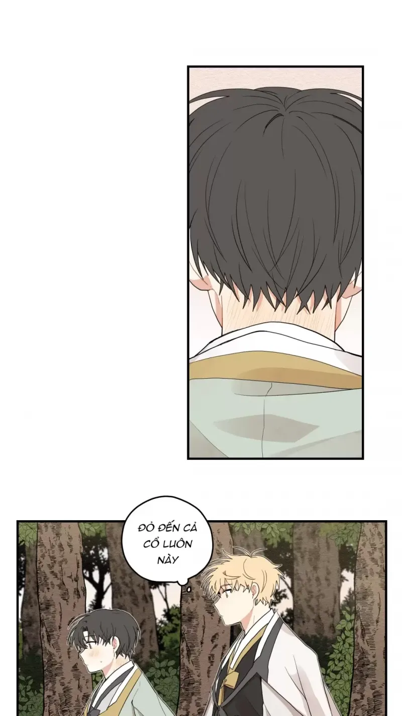 đọc truyện Dưới Tán Hoa Liên Kiều Chương 11.5 ảnh 17 tại Thiên Thai Truyện