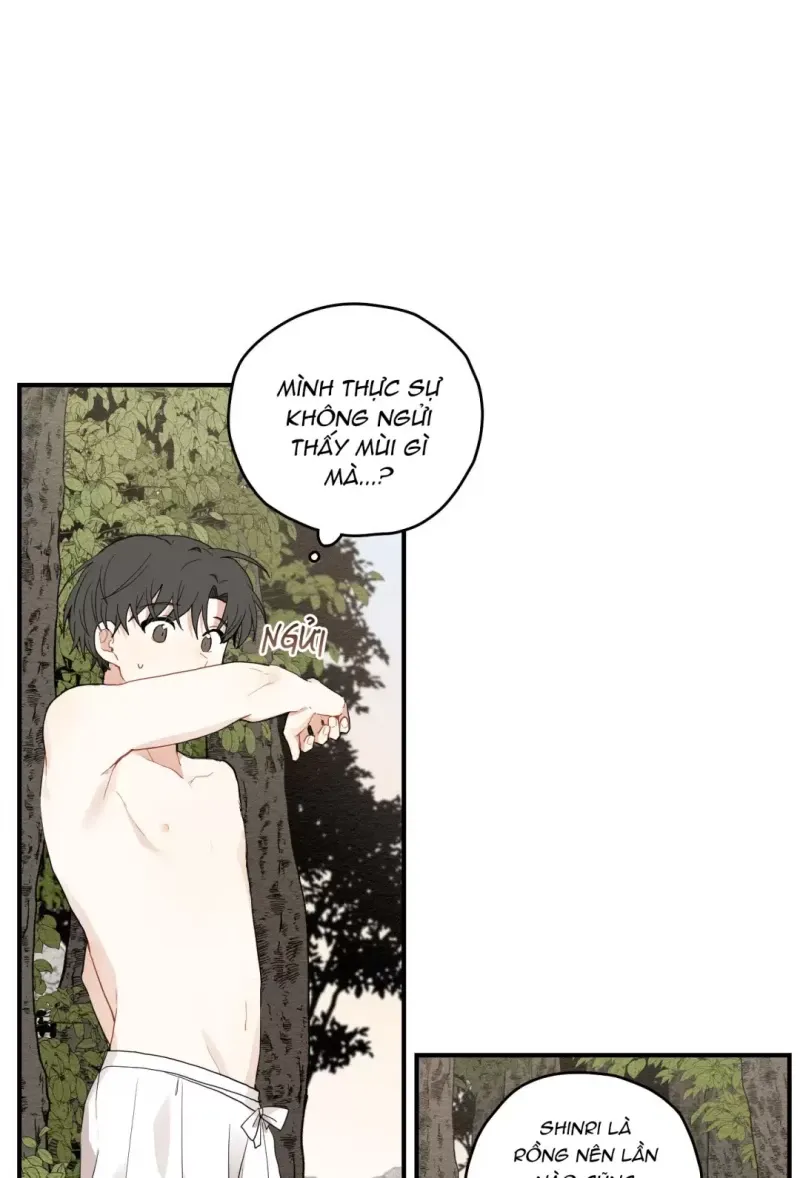 đọc truyện Dưới Tán Hoa Liên Kiều Chương 11.5 ảnh 24 tại Thiên Thai Truyện