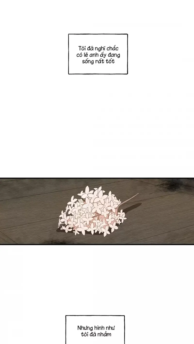 đọc truyện Dưới Tán Hoa Liên Kiều Chương 11 ảnh 20 tại Thiên Thai Truyện