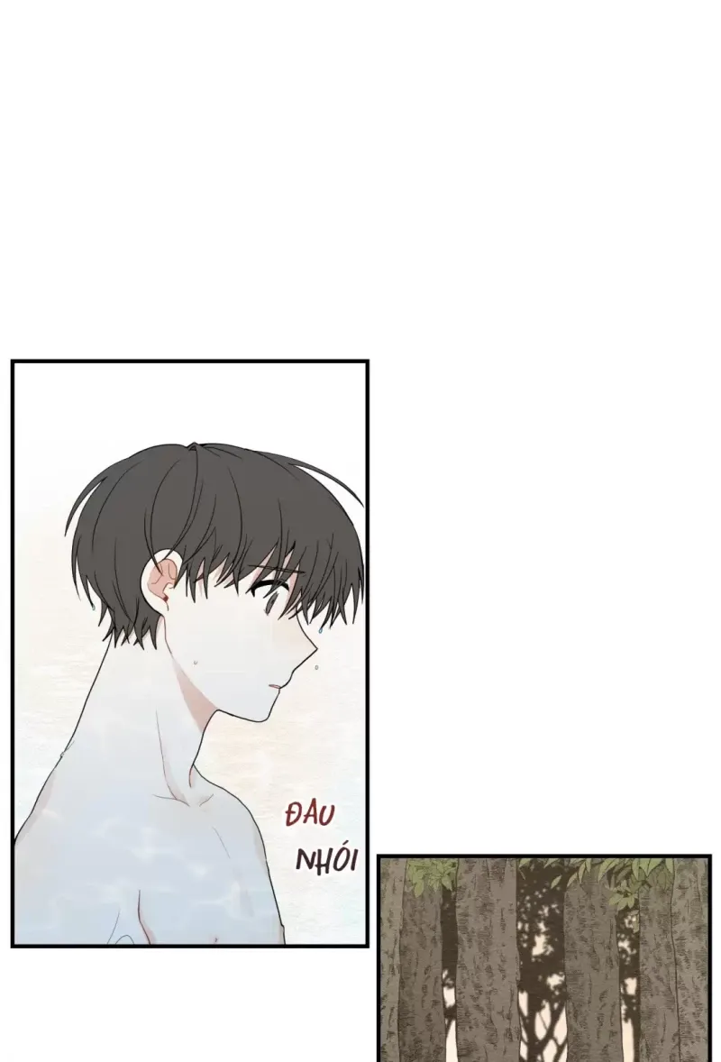 đọc truyện Dưới Tán Hoa Liên Kiều Chương 12.5 ảnh 3 tại Thiên Thai Truyện