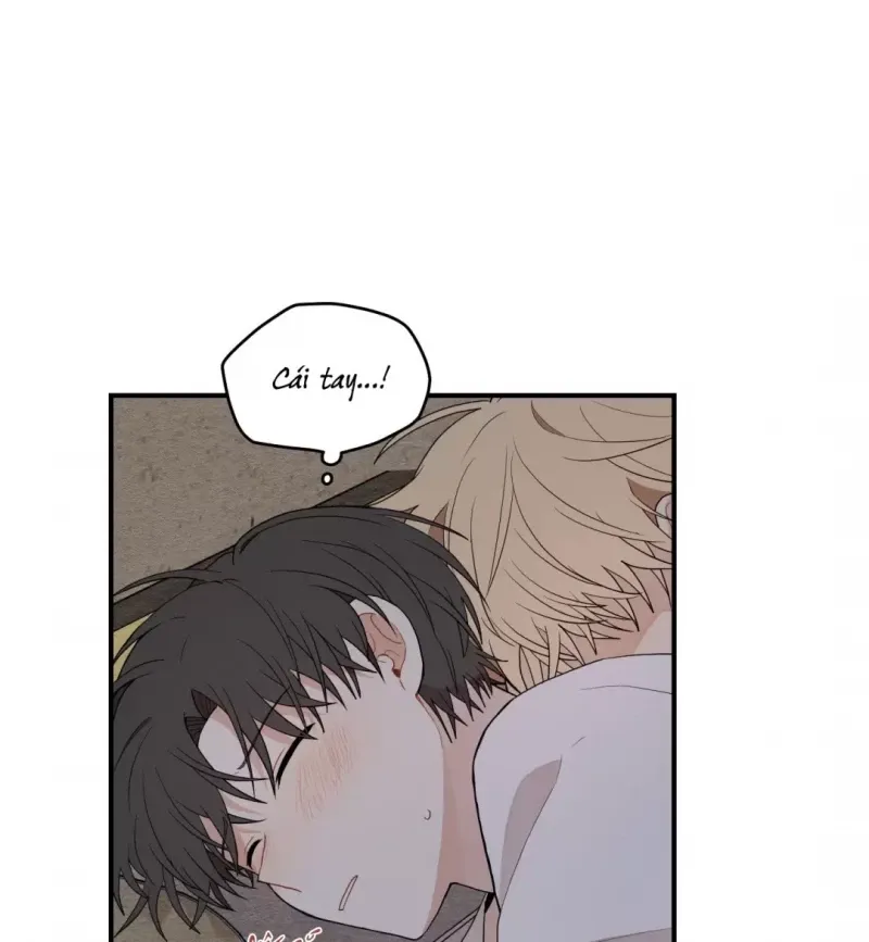 đọc truyện Dưới Tán Hoa Liên Kiều Chương 12.5 ảnh 17 tại Thiên Thai Truyện