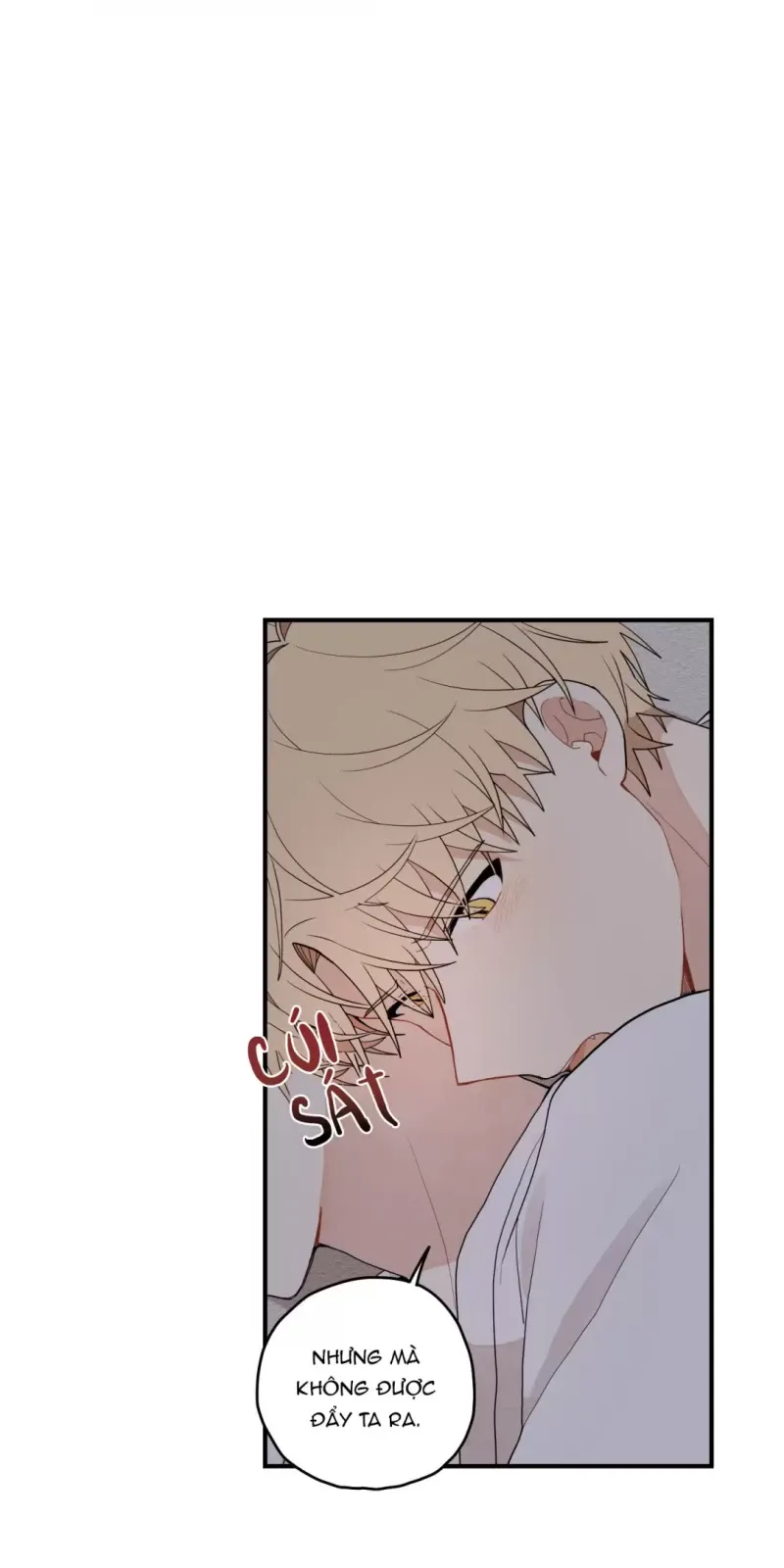 đọc truyện Dưới Tán Hoa Liên Kiều Chương 12.5 ảnh 23 tại Thiên Thai Truyện