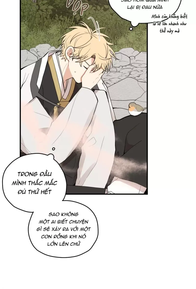 đọc truyện Dưới Tán Hoa Liên Kiều Chương 12 ảnh 15 tại Thiên Thai Truyện