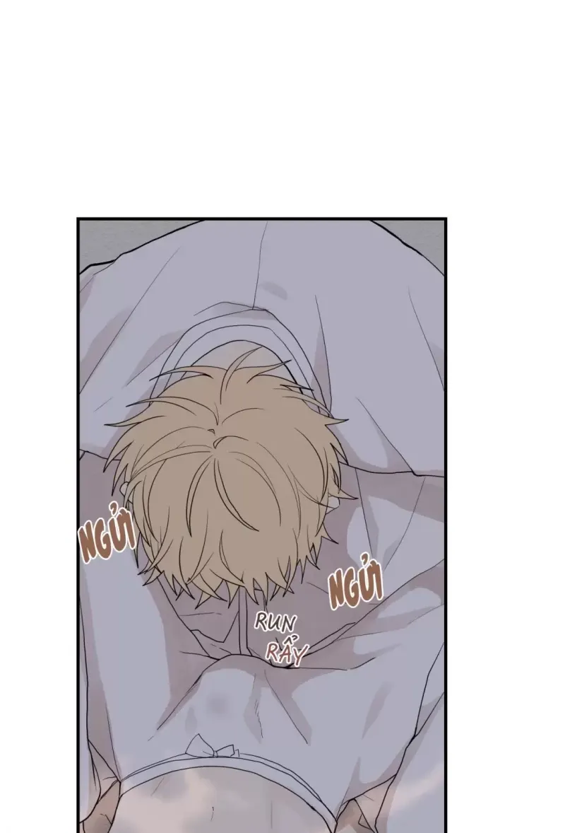 đọc truyện Dưới Tán Hoa Liên Kiều Chương 14 ảnh 12 tại Thiên Thai Truyện