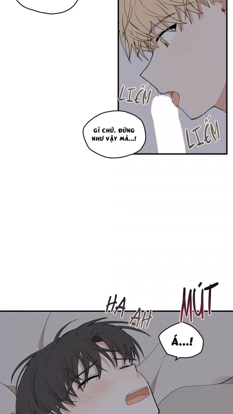 đọc truyện Dưới Tán Hoa Liên Kiều Chương 14 ảnh 19 tại Thiên Thai Truyện