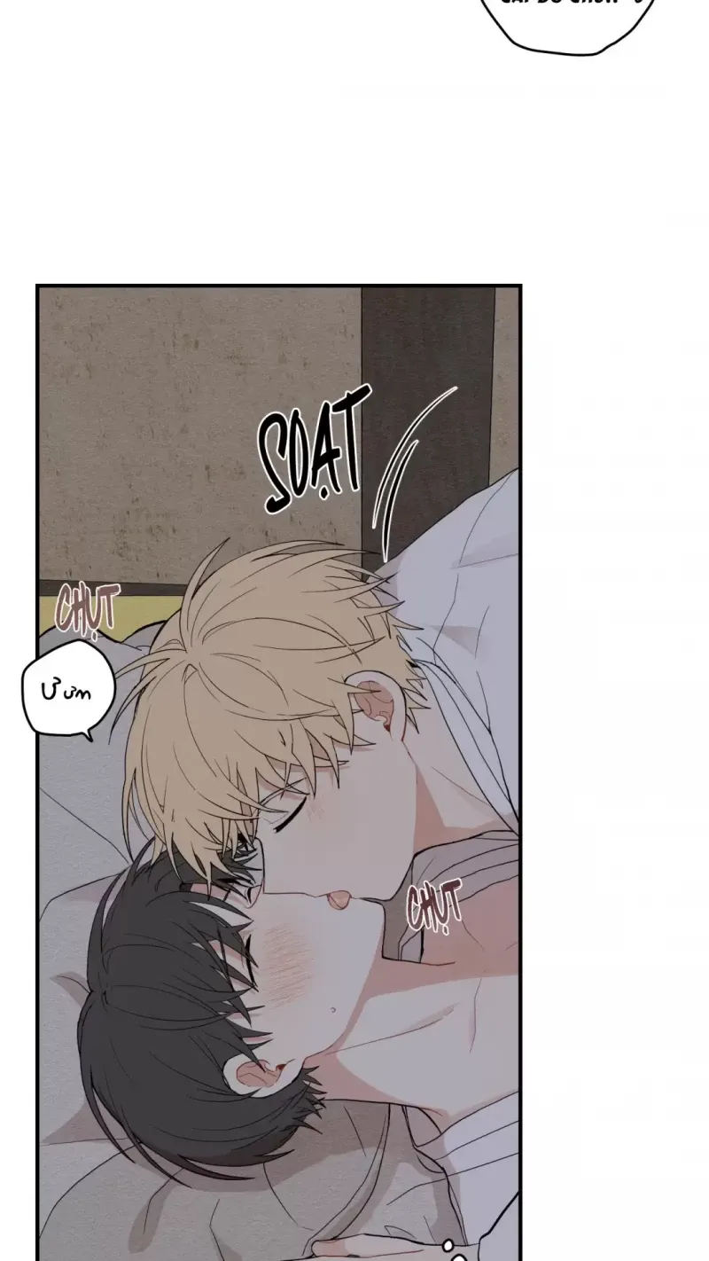 đọc truyện Dưới Tán Hoa Liên Kiều Chương 14 ảnh 25 tại Thiên Thai Truyện