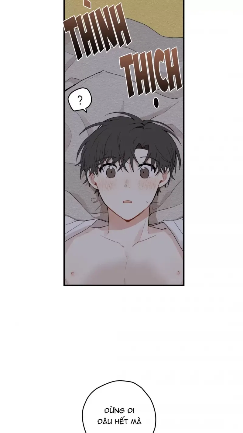 đọc truyện Dưới Tán Hoa Liên Kiều Chương 14 ảnh 8 tại Thiên Thai Truyện