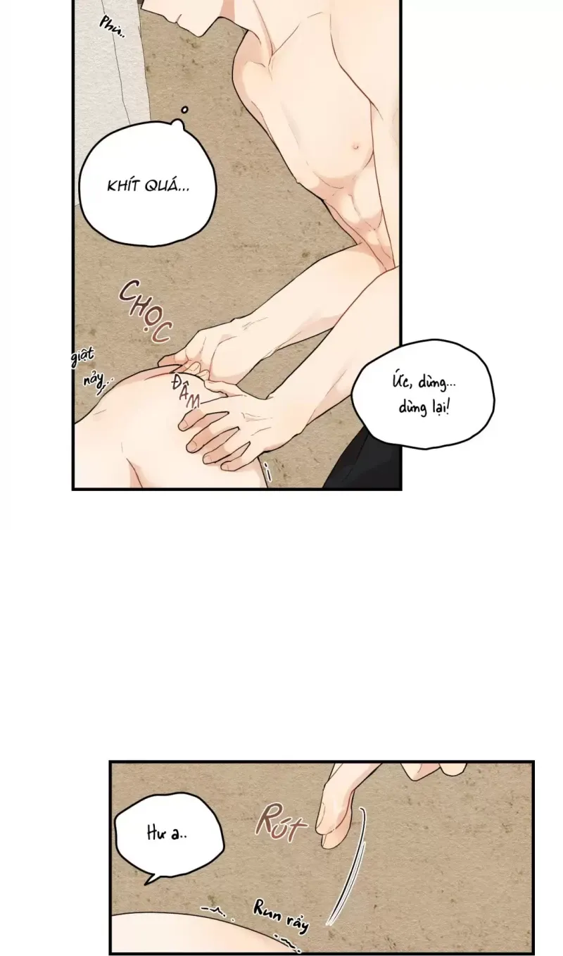 đọc truyện Dưới Tán Hoa Liên Kiều Chương 15.5 ảnh 16 tại Thiên Thai Truyện