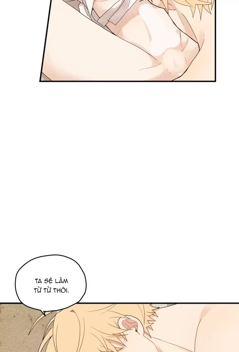 đọc truyện Dưới Tán Hoa Liên Kiều Chương 15.5 ảnh 24 tại Thiên Thai Truyện