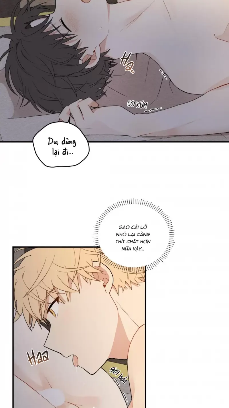 đọc truyện Dưới Tán Hoa Liên Kiều Chương 15.5 ảnh 27 tại Thiên Thai Truyện