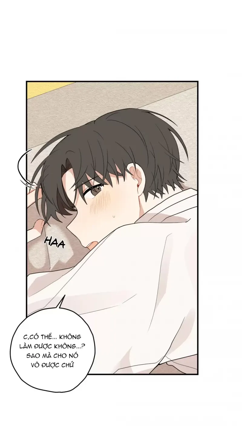 đọc truyện Dưới Tán Hoa Liên Kiều Chương 15.5 ảnh 11 tại Thiên Thai Truyện