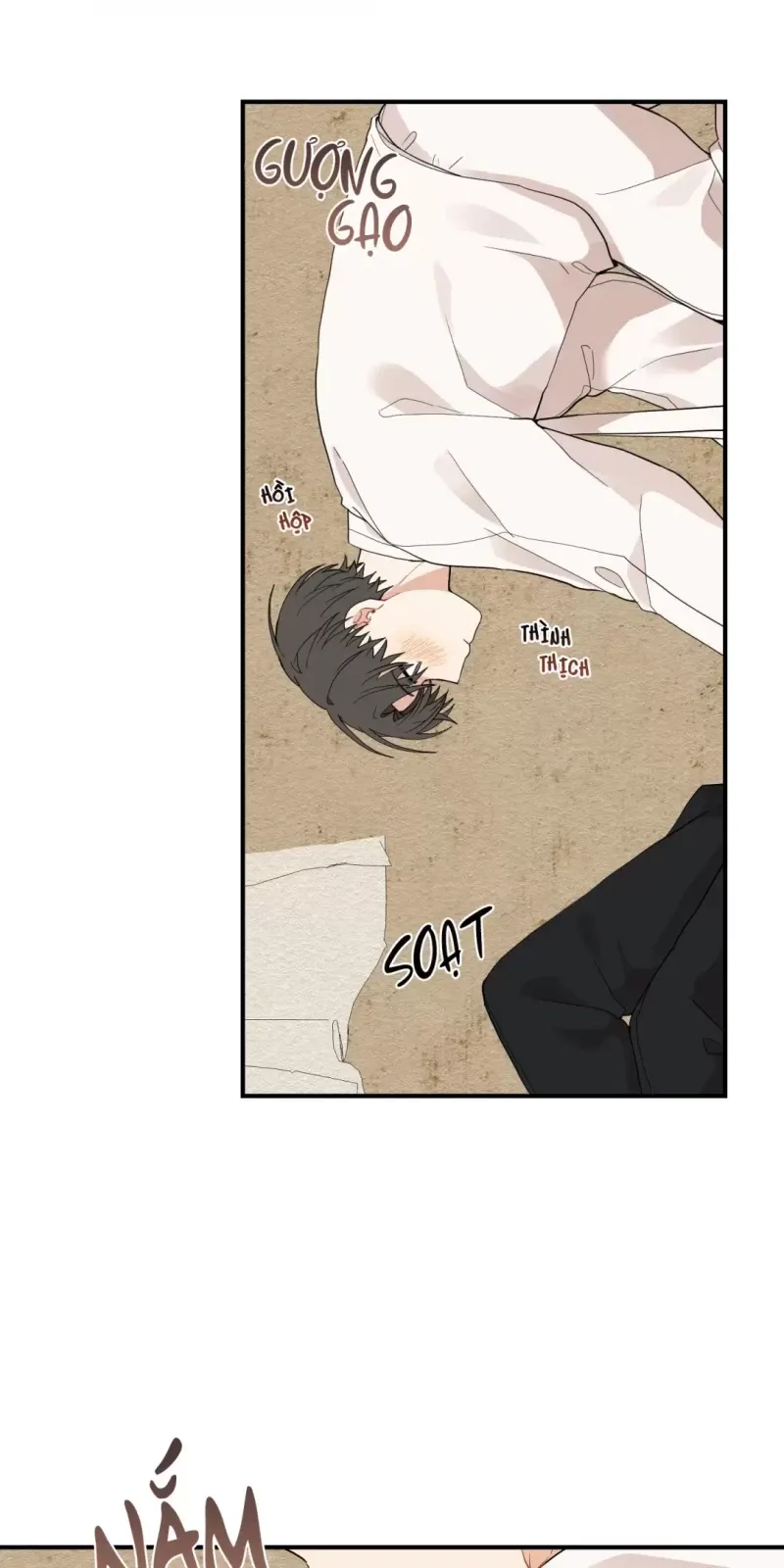 đọc truyện Dưới Tán Hoa Liên Kiều Chương 15 ảnh 19 tại Thiên Thai Truyện