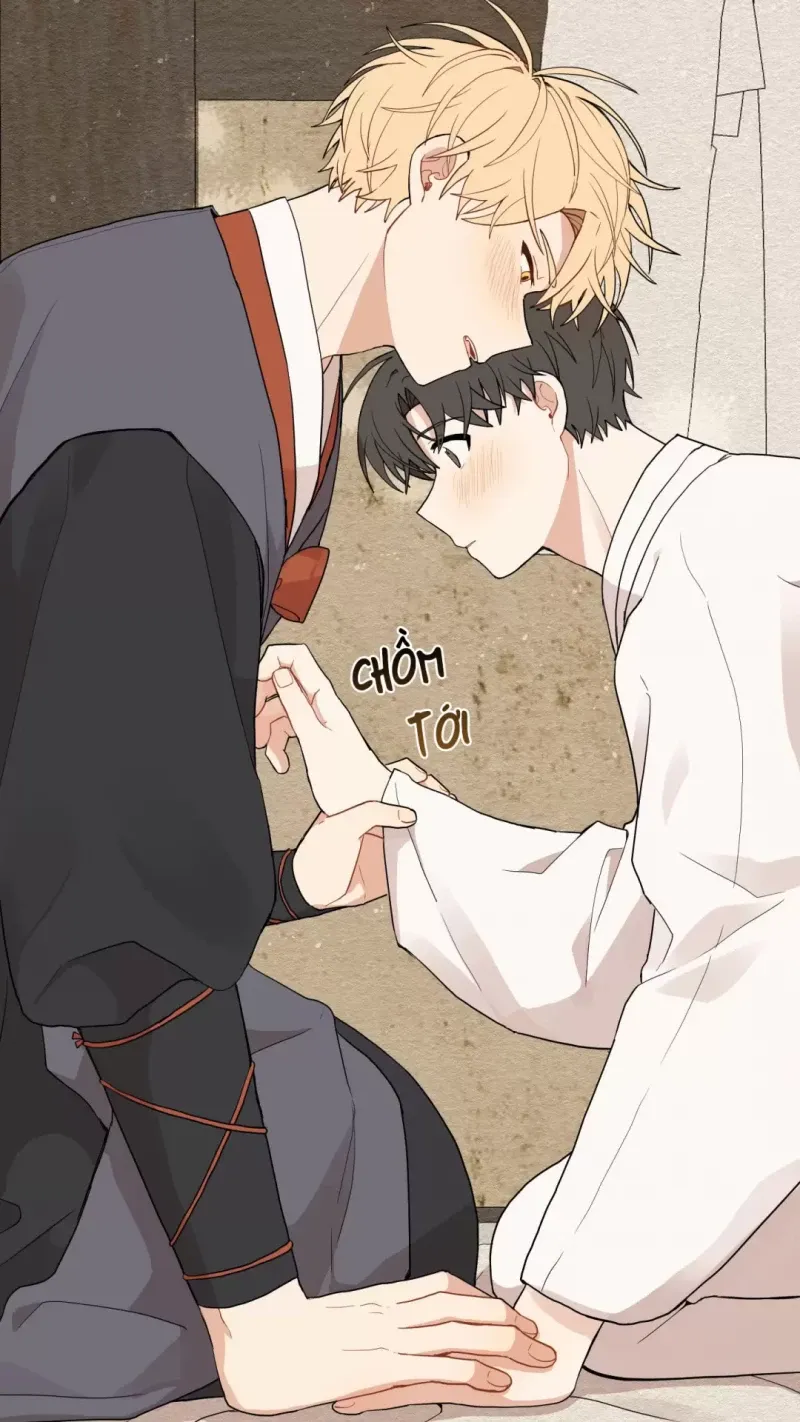 đọc truyện Dưới Tán Hoa Liên Kiều Chương 15 ảnh 7 tại Thiên Thai Truyện