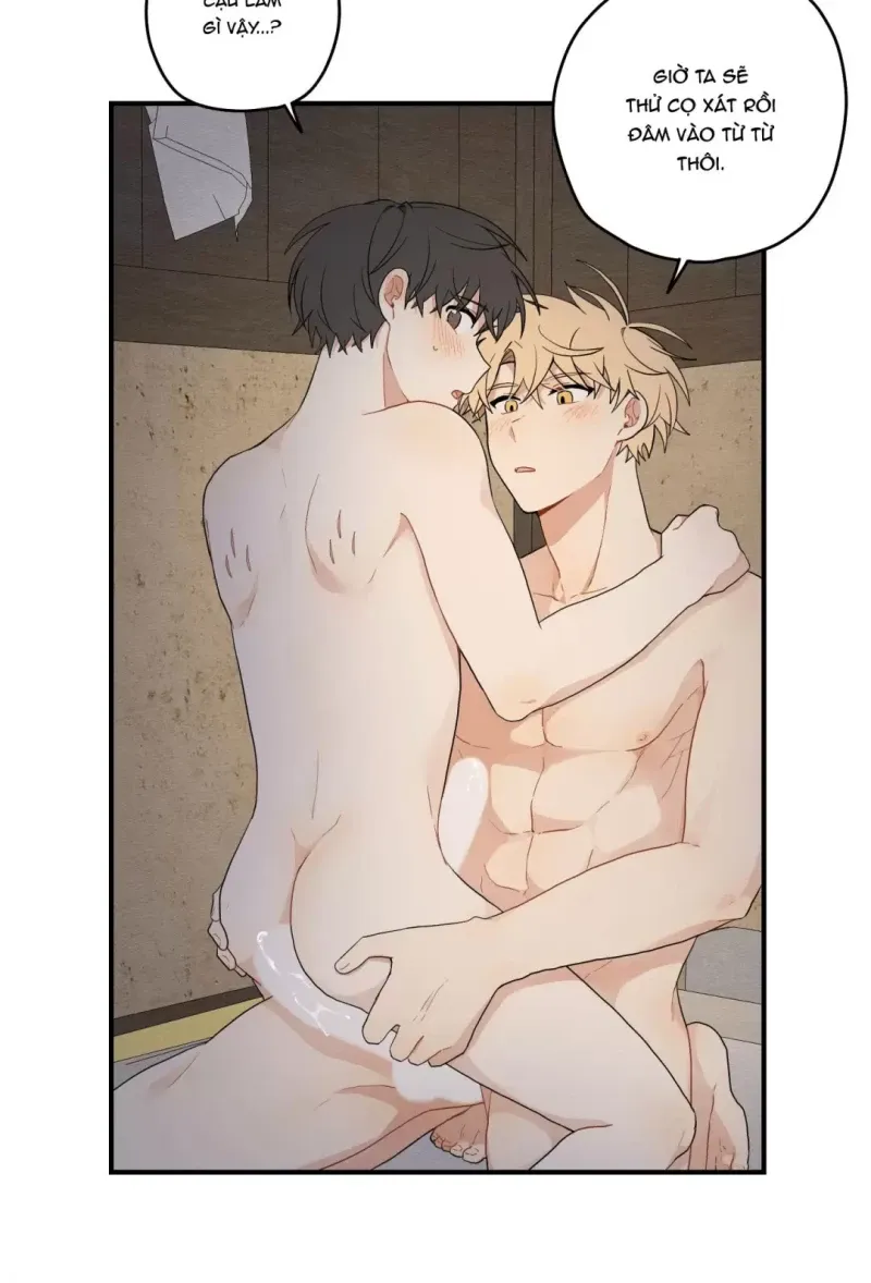 đọc truyện Dưới Tán Hoa Liên Kiều Chương 16.5 ảnh 14 tại Thiên Thai Truyện