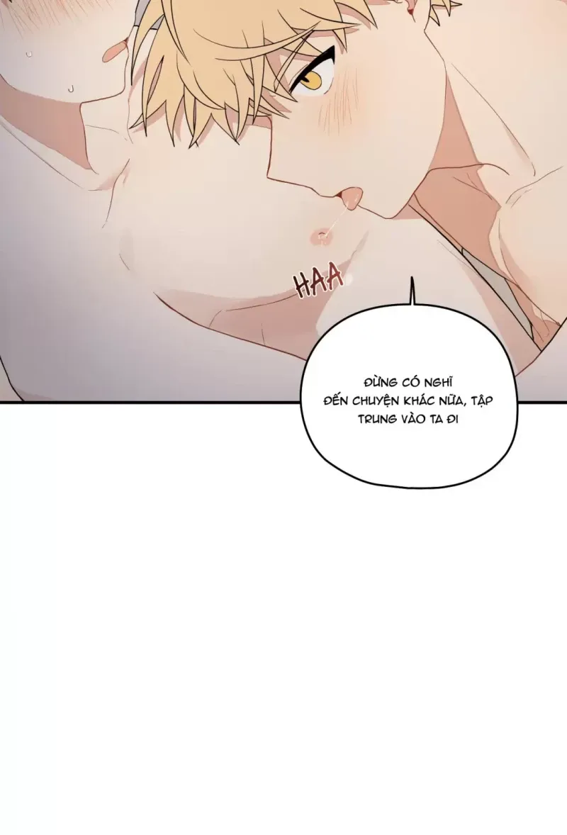 đọc truyện Dưới Tán Hoa Liên Kiều Chương 16.5 ảnh 17 tại Thiên Thai Truyện