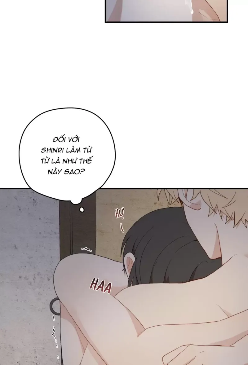 đọc truyện Dưới Tán Hoa Liên Kiều Chương 16.5 ảnh 21 tại Thiên Thai Truyện