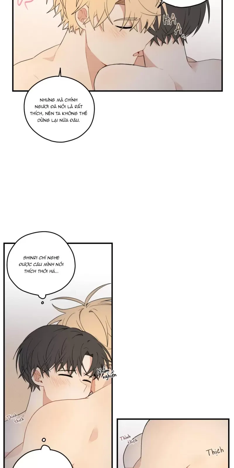 đọc truyện Dưới Tán Hoa Liên Kiều Chương 16.5 ảnh 4 tại Thiên Thai Truyện