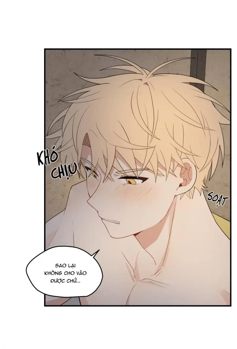 đọc truyện Dưới Tán Hoa Liên Kiều Chương 16.5 ảnh 30 tại Thiên Thai Truyện