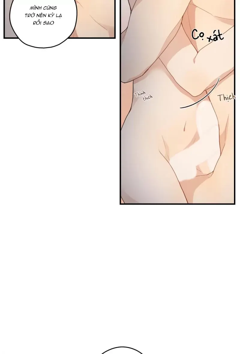 đọc truyện Dưới Tán Hoa Liên Kiều Chương 16.5 ảnh 5 tại Thiên Thai Truyện