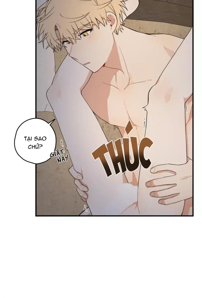 đọc truyện Dưới Tán Hoa Liên Kiều Chương 16 ảnh 14 tại Thiên Thai Truyện