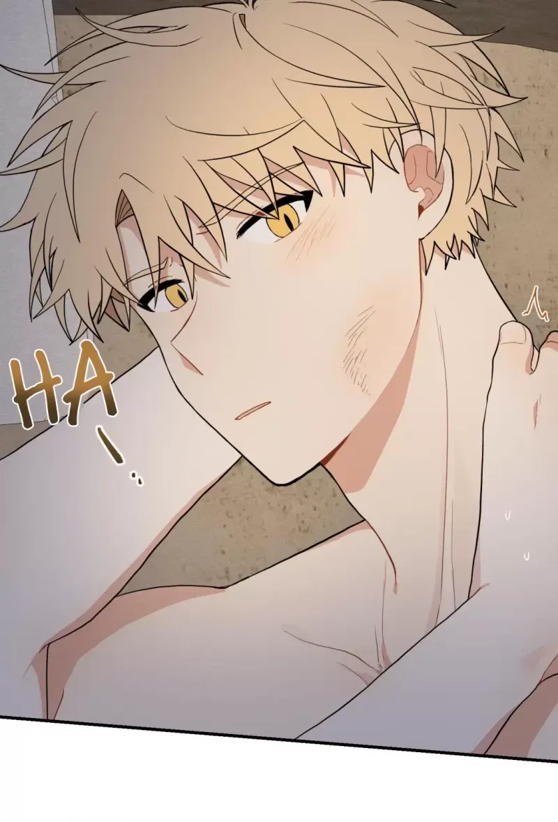 đọc truyện Dưới Tán Hoa Liên Kiều Chương 16 ảnh 18 tại Thiên Thai Truyện