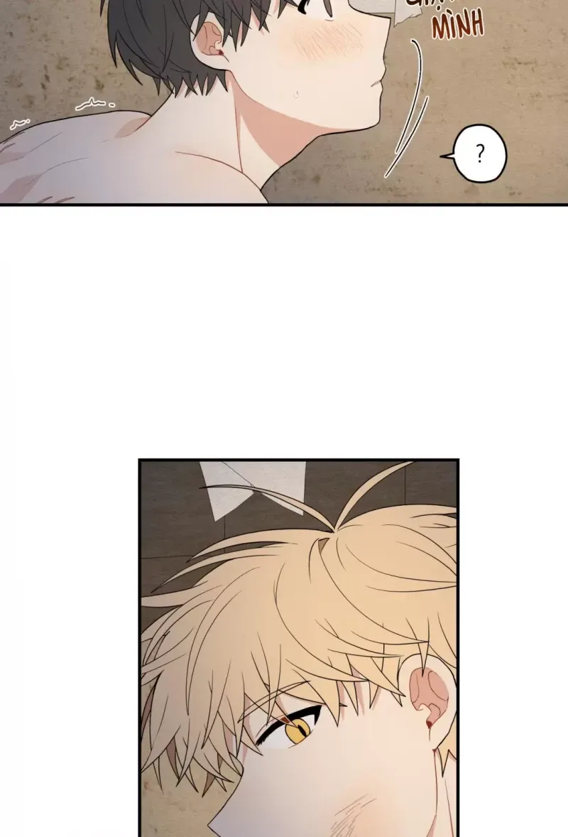 đọc truyện Dưới Tán Hoa Liên Kiều Chương 16 ảnh 21 tại Thiên Thai Truyện