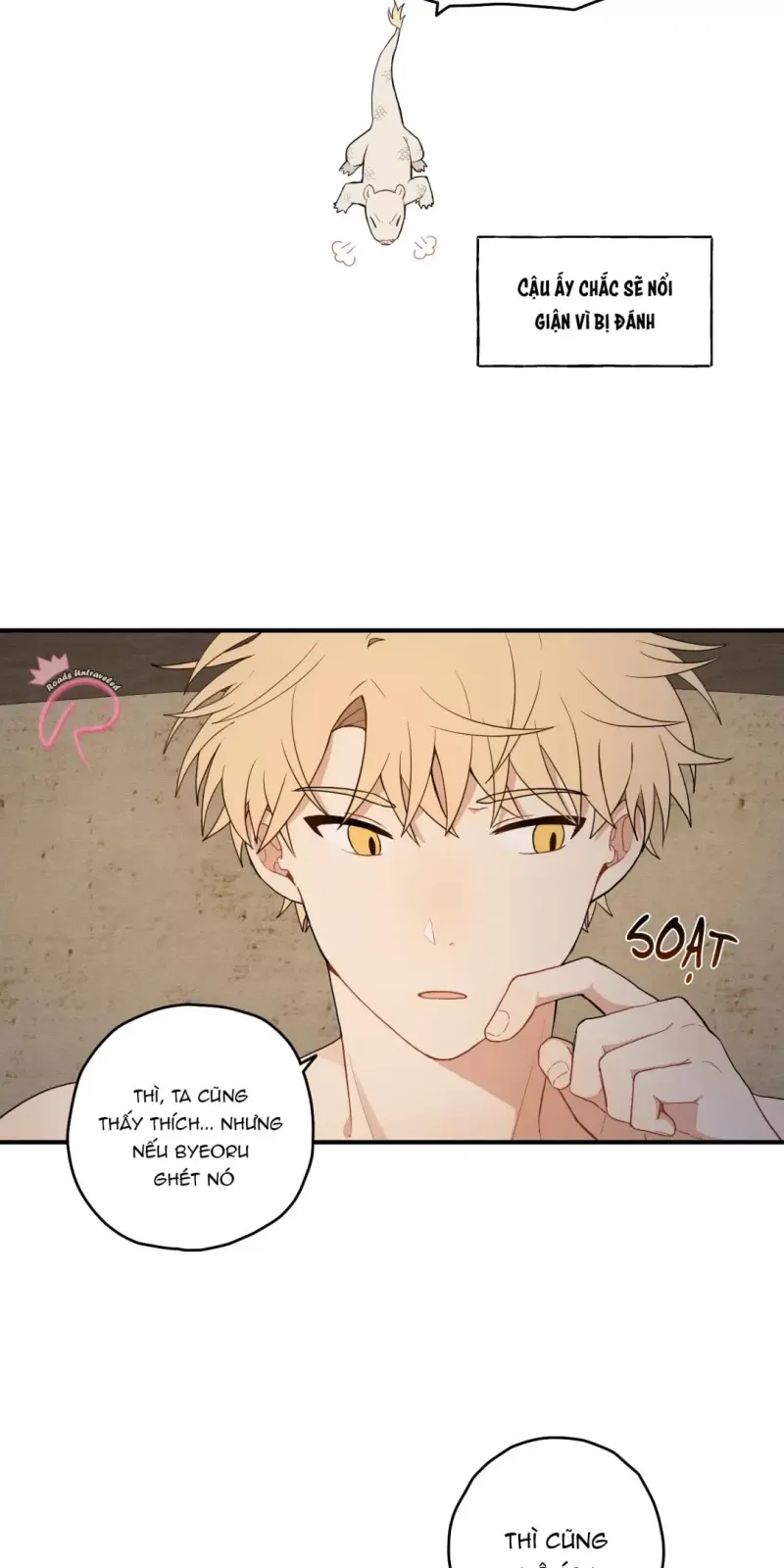 đọc truyện Dưới Tán Hoa Liên Kiều Chương 16 ảnh 24 tại Thiên Thai Truyện